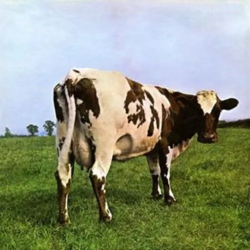 Pink Floyd Atom Heart Mother Vinyl