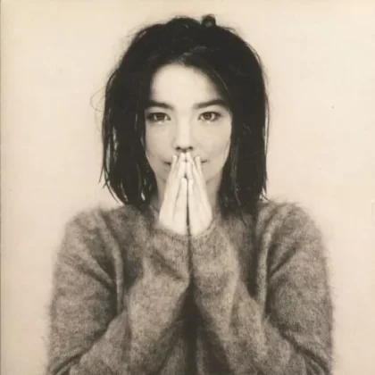 Björk Debut Vinyl