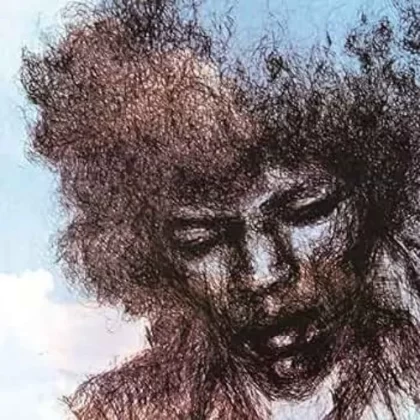 Jimi Hendrix The Cry Of Love Vinyl